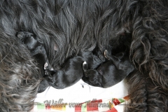 woche1