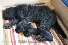 Woche_2-5