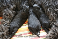 Woche_2-8