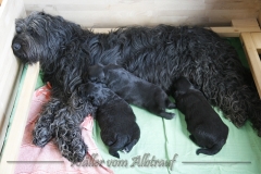 CWoche_3-19