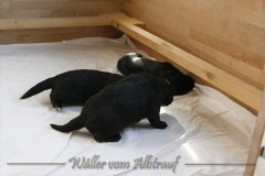 CWoche_3-2
