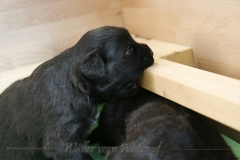 CWoche_3-22