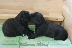CWoche_3-23