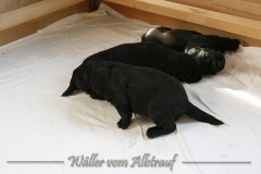 CWoche_3-3