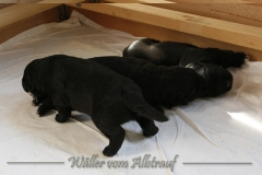 CWoche_3-4