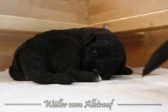 CWoche_3-5