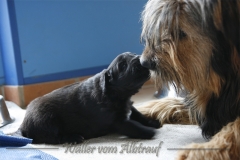 CWoche_4-1