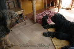 CWoche_4-10