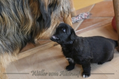 CWoche_4-11