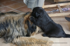 CWoche_4-12