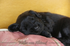CWoche_4-16