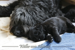 CWoche_4-5