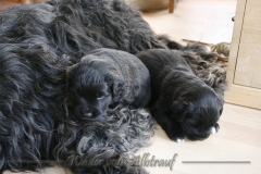 CWoche_4-8