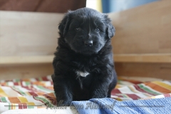 CWoche_5-10