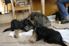CWoche_5-13
