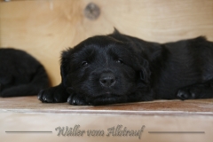 CWoche_5-18