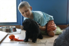 CWoche_5-21