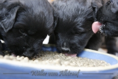 CWoche_5-6