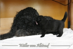 CWoche_5-8