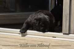 CWoche_6-1