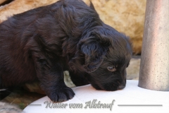 CWoche_6-12