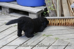 CWoche_6-19