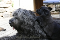 CWoche_6-26
