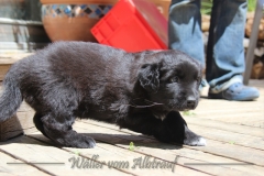 CWoche_6-6
