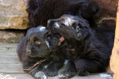 CWoche_6-9