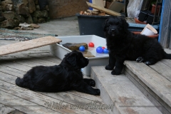 CWoche_7-10