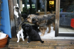 CWoche_7-13