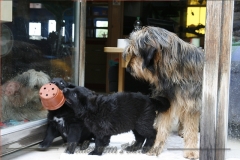 CWoche_7-18