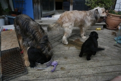 CWoche_7-2