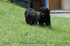 CWoche_7-20