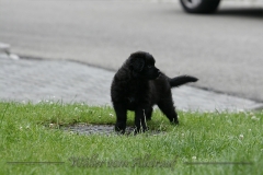 CWoche_7-21