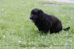 CWoche_7-22