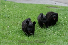 CWoche_7-24