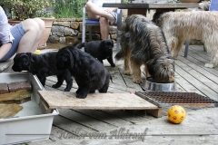 CWoche_7-3