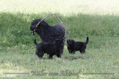 CWoche_7-31