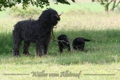 CWoche_7-40