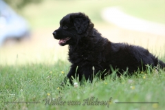 CWoche_7-41