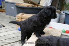 CWoche_7-5
