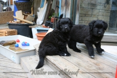 CWoche_7-8