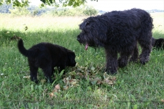 CWoche_8-12