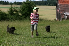CWoche_8-16