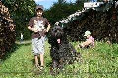 CWoche_8-23