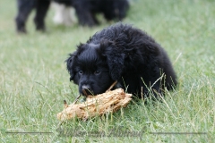 CWoche_8-25
