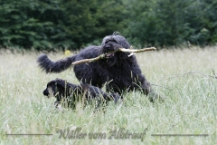 CWoche_8-26