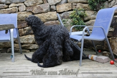 CWoche_8-30