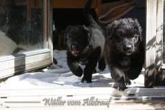 CWoche_8